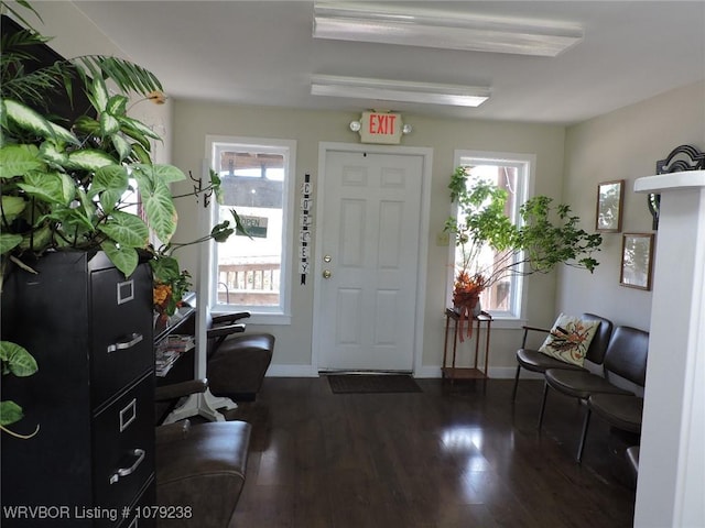 entrance foyer featuring dark wood-type flooring, a wealth of natural light, and baseboards