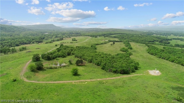 32998 Calhoun Rd, Shady Point, OK 74956 - photo 34