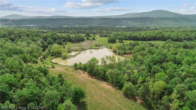 32998 Calhoun Rd, Shady Point, OK 74956 - photo 13