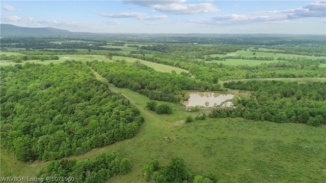 32998 Calhoun Rd, Shady Point, OK 74956 - photo 19