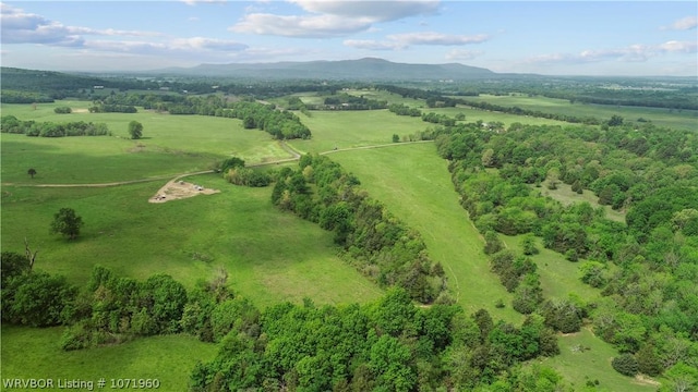32998 Calhoun Rd, Shady Point, OK 74956 - photo 10