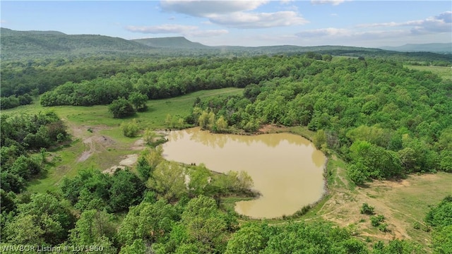 32998 Calhoun Rd, Shady Point, OK 74956 - photo 15