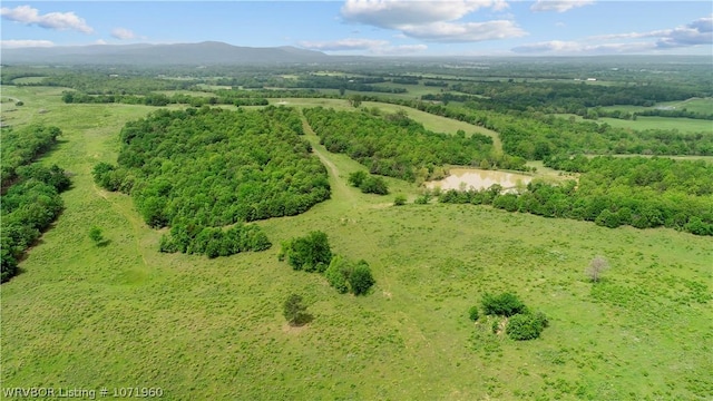 32998 Calhoun Rd, Shady Point, OK 74956 - photo 31