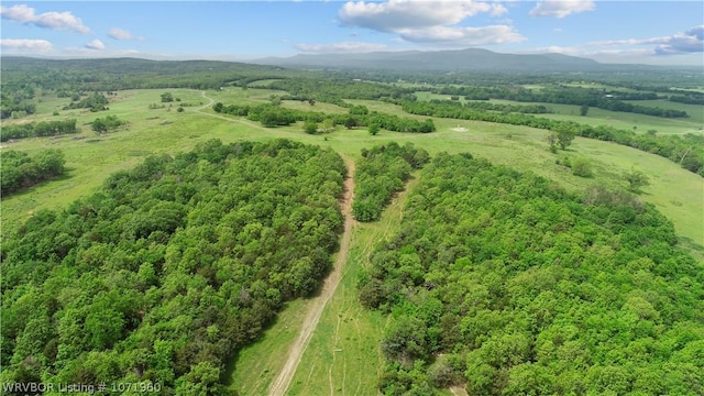 32998 Calhoun Rd, Shady Point, OK 74956 - photo 32