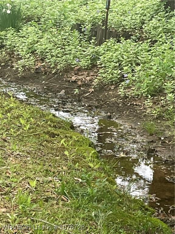 1900 Bottom Fork Rd, Mansfield, AR 72944 - view of landscape with a water view