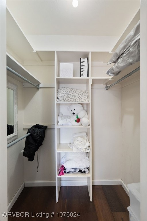 walk in closet featuring dark wood-type flooring