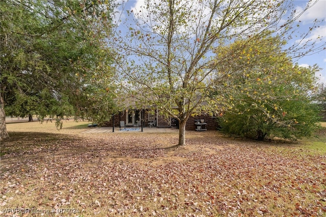 view of yard with a patio