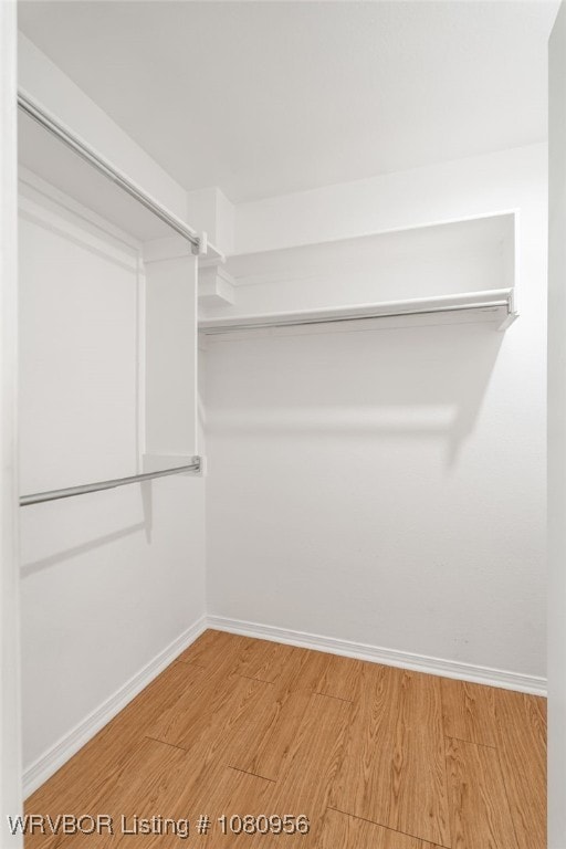 813 Melba Denton Ln, Sallisaw, OK 74955 - walk in closet with light wood-style floors