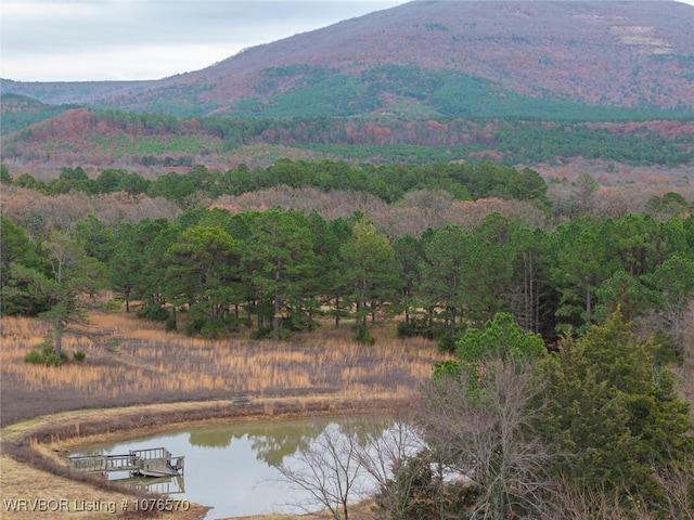 property view of mountains featuring a water view