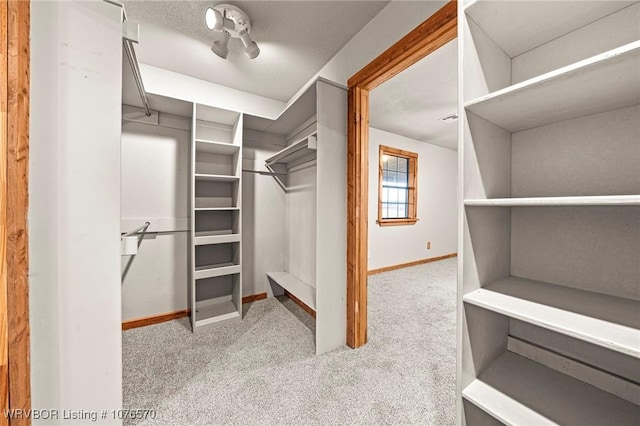 walk in closet with light colored carpet