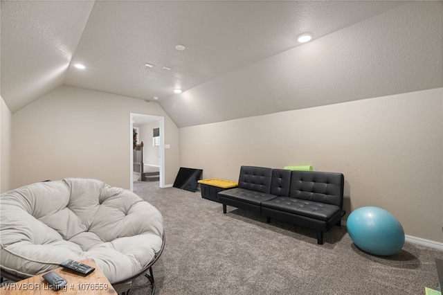 interior space with a textured ceiling and vaulted ceiling