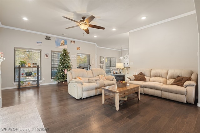 living room with dark hardwood / wood-style flooring, ceiling fan, and ornamental molding