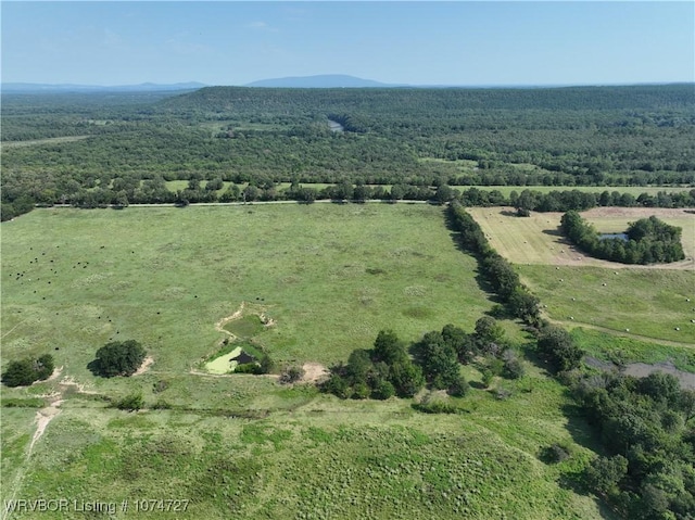 000 Dallas Kelley Loop, Heavener OK, 74937 land for sale