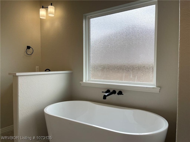 bathroom featuring a bathing tub