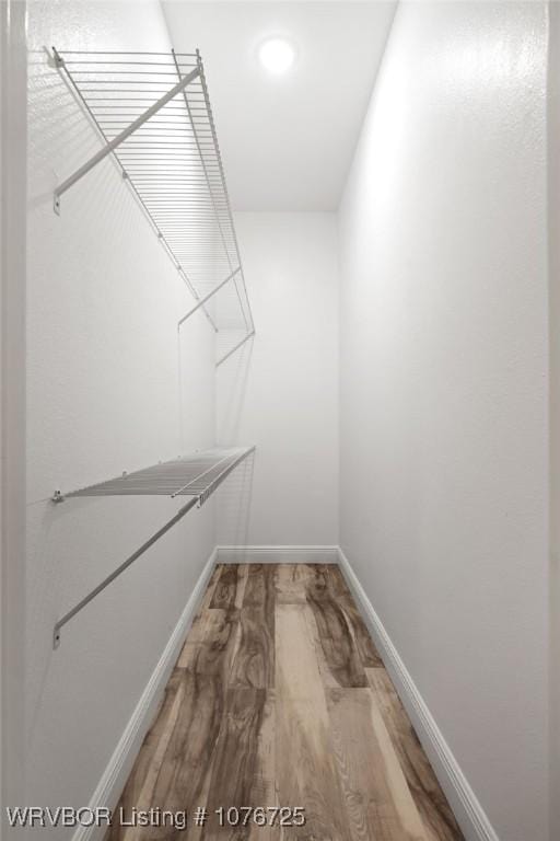 spacious closet featuring hardwood / wood-style floors