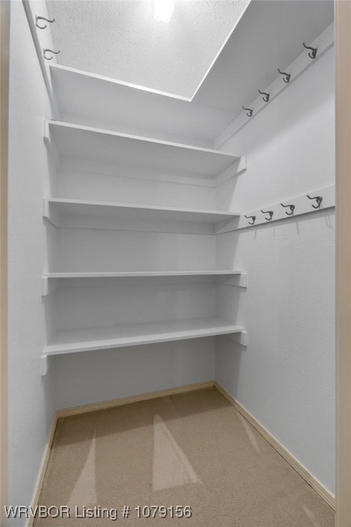 spacious closet with carpet