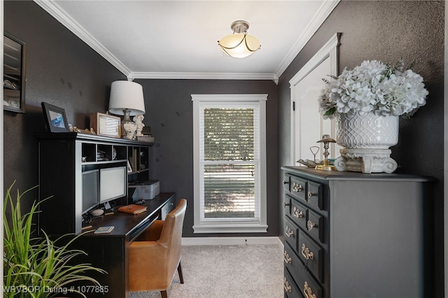 office with light colored carpet and crown molding