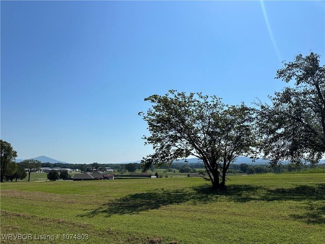 view of yard with a mountain view and a rural view