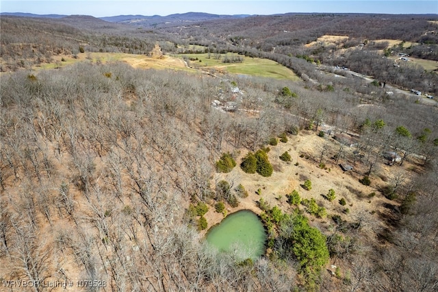 drone / aerial view with a mountain view