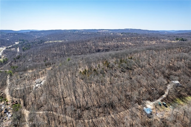 drone / aerial view featuring a mountain view