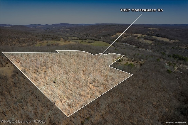 birds eye view of property featuring a mountain view