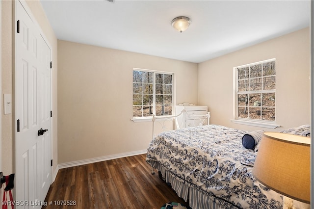 bedroom featuring baseboards, multiple windows, a closet, and wood finished floors