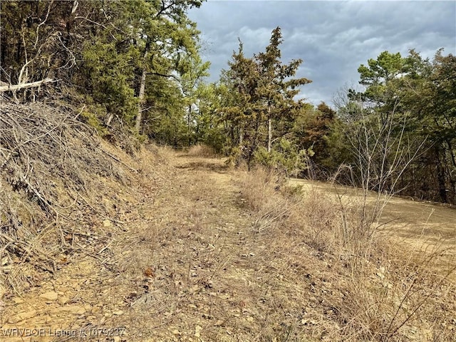 TBD Petetree Dr, Wister OK, 74966 land for sale