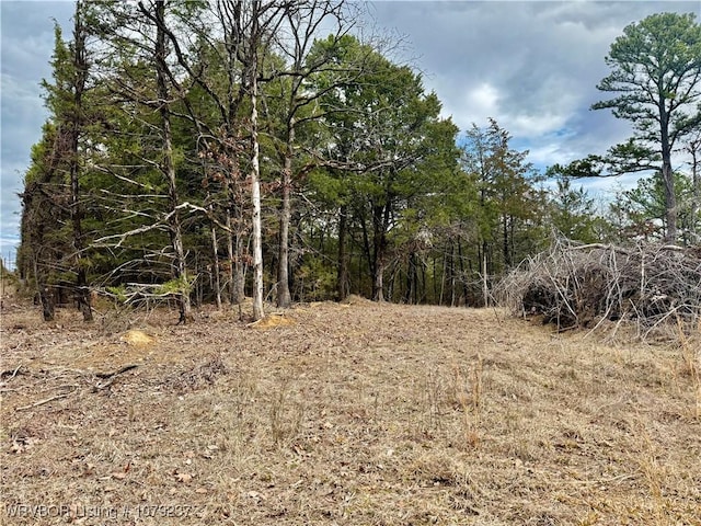 Listing photo 3 for TBD Petetree Dr, Wister OK 74966