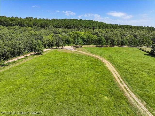 457848 E 1013th Rd, Vian, OK 74962 - photo 39