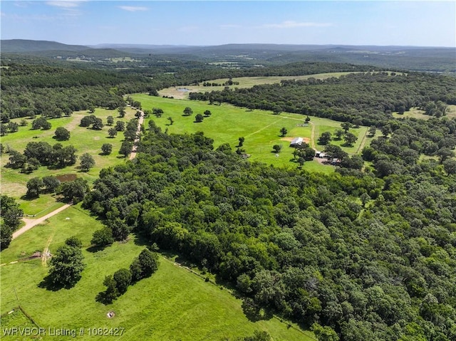 457848 E 1013th Rd, Vian, OK 74962 - photo 45