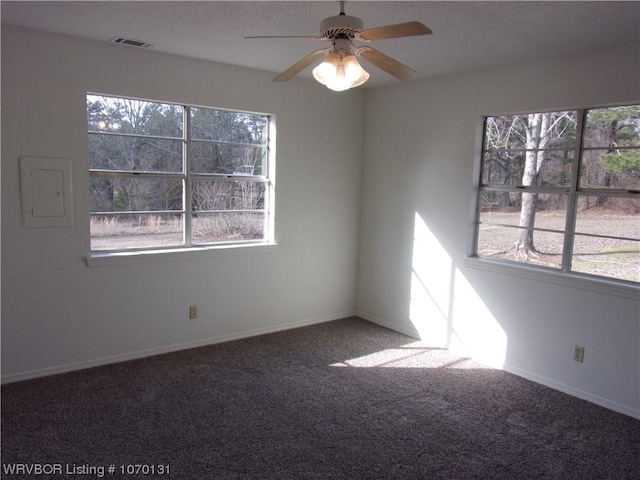 spare room featuring carpet floors, electric panel, and plenty of natural light