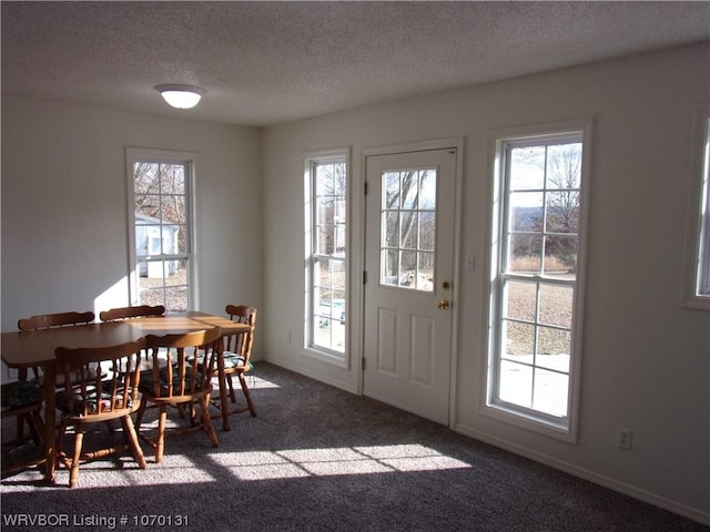 interior space featuring carpet floors and a textured ceiling