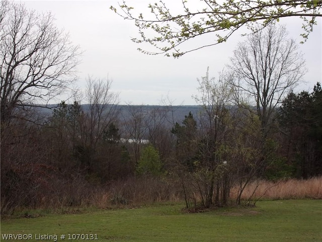 view of mountain feature