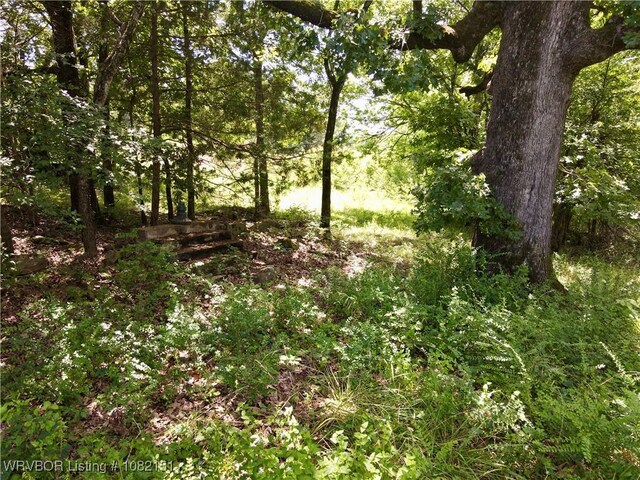 513 Park Ave, Mansfield, AR 72944 - photo 9