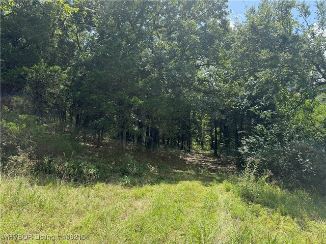 513 Park Ave, Mansfield, AR 72944 - photo 8