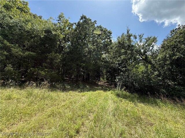 513 Park Ave, Mansfield, AR 72944 - photo 7