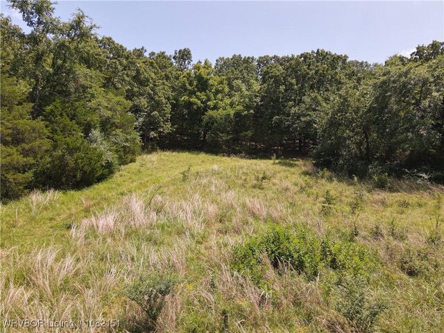 513 Park Ave, Mansfield, AR 72944 - photo 3