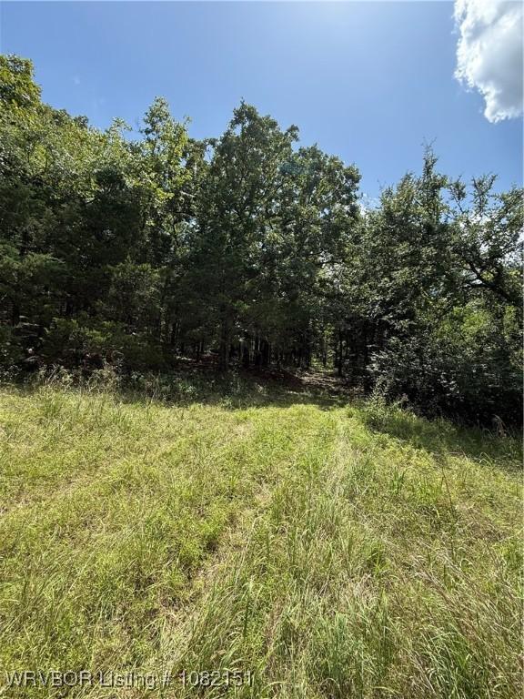 513 Park Ave, Mansfield, AR 72944 - photo 6