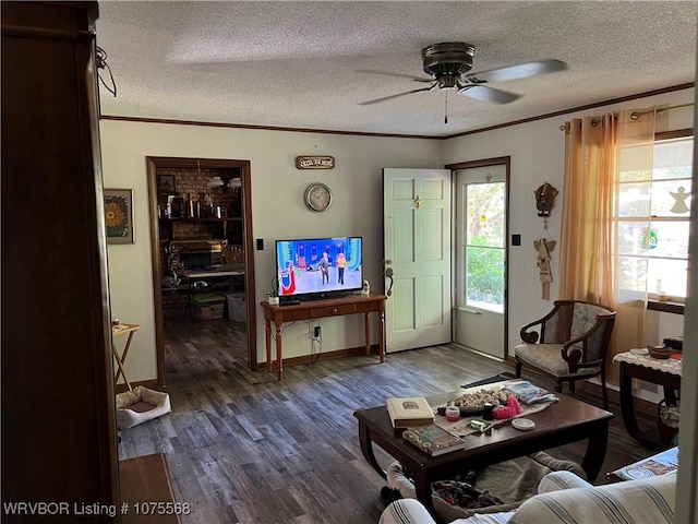 living room featuring ceiling fan, crown molding, dark wood-type flooring, and a textured ceiling