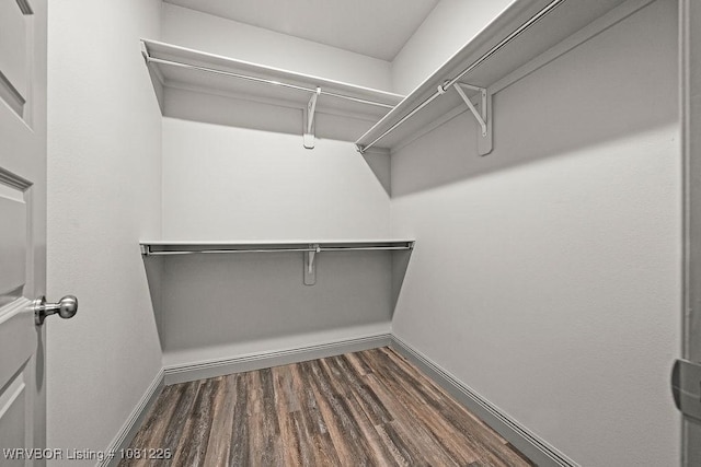 9205 R A Young Jr Dr, Fort Smith, AR 72916 - walk in closet featuring dark wood-style floors