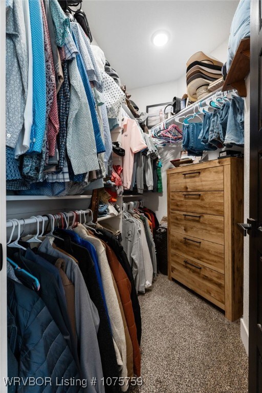 spacious closet with carpet