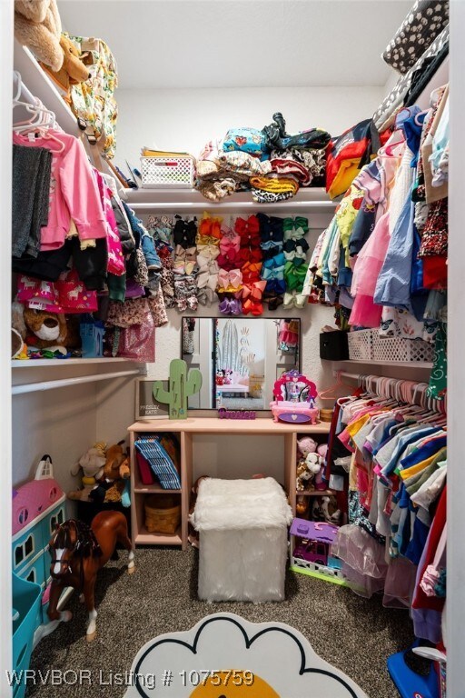 spacious closet featuring carpet flooring