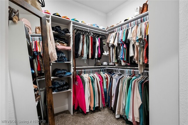 spacious closet featuring carpet