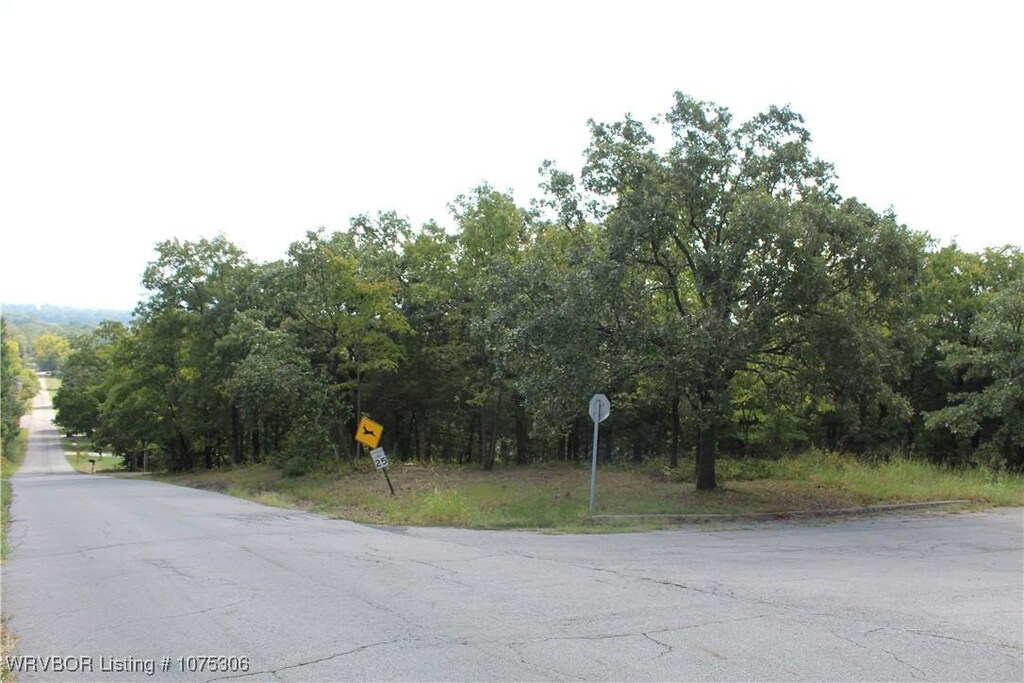 TBD Mission, Poteau, OK 74953 - photo 2