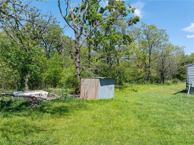 24401 Brazil Creek Loop, Shady Point, OK 74956 - view of yard featuring a storage unit and an outdoor structure