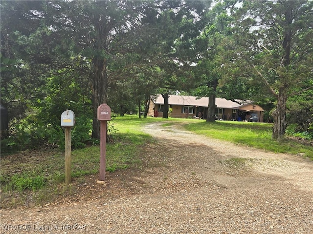 view of street with dirt driveway