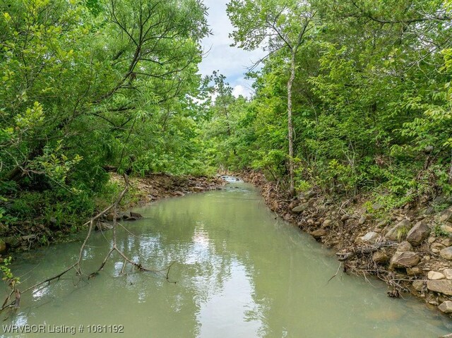 10907 Cedar Creek Rd, Hartford, AR 72938 - photo 9