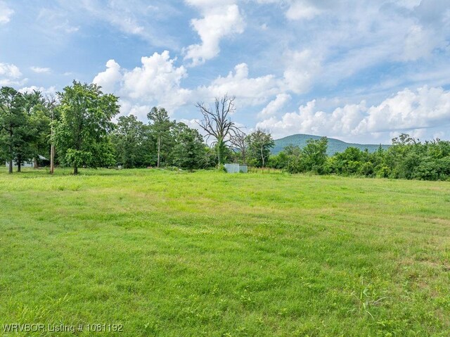 10907 Cedar Creek Rd, Hartford, AR 72938 - photo 44