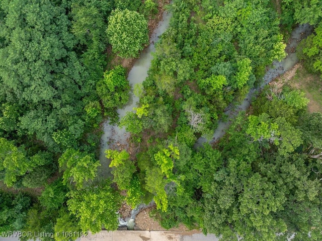 10907 Cedar Creek Rd, Hartford, AR 72938 - photo 49