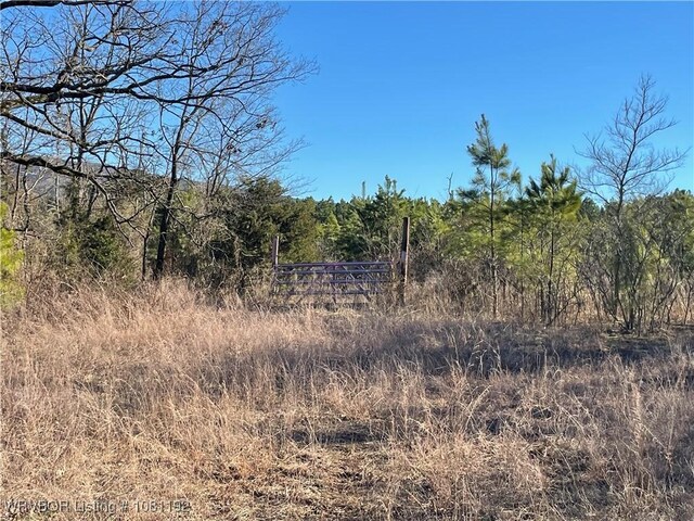 10907 Cedar Creek Rd, Hartford, AR 72938 - photo 22